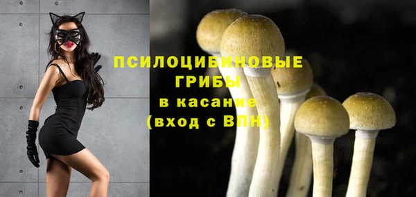 винт Армянск
