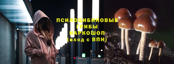 винт Армянск